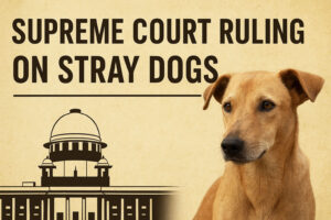Supreme Court Ruling on Stray Dogs